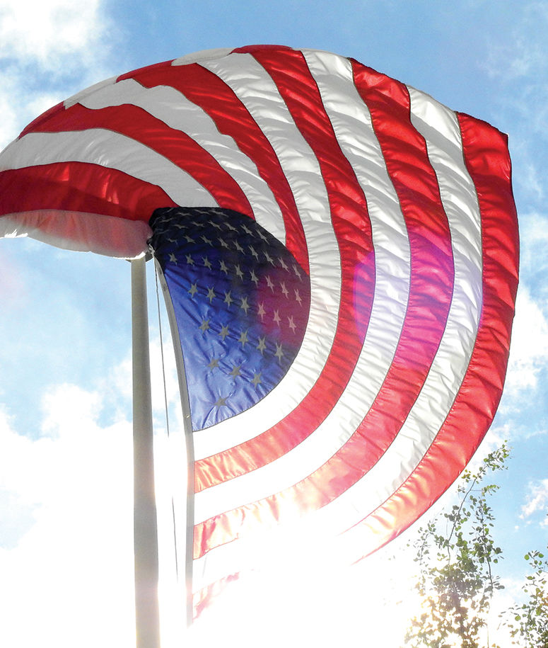 20-07-03 American Flag 2 Roland C.jpg